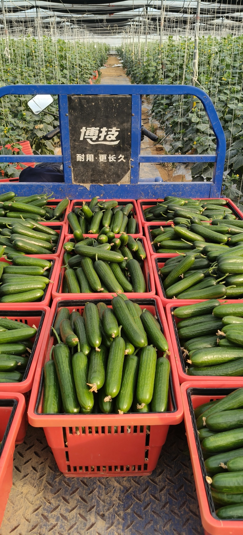 按件按斤都可以！货量足