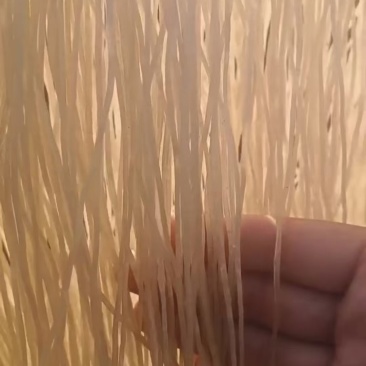 红薯粉条