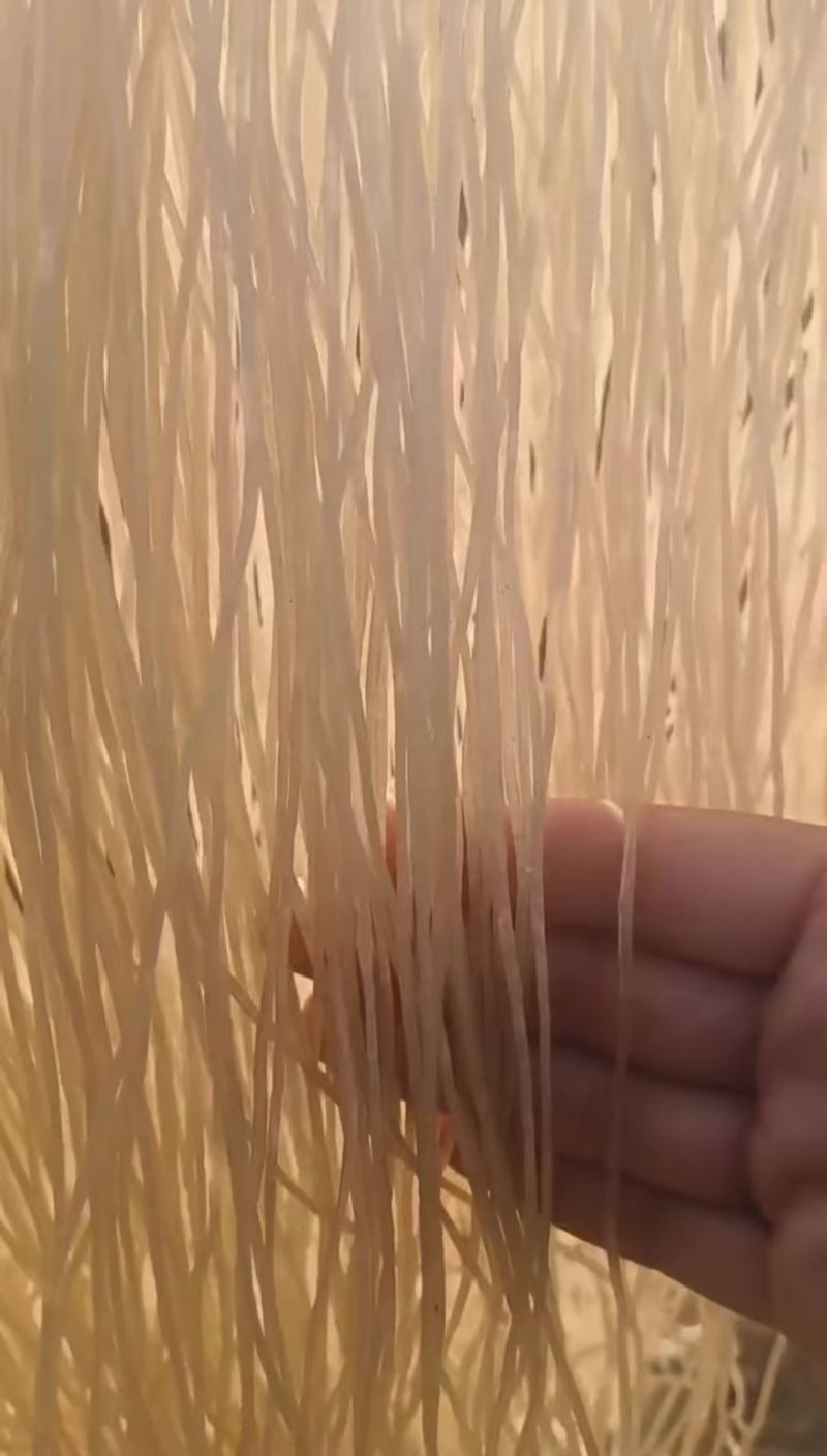 红薯粉条