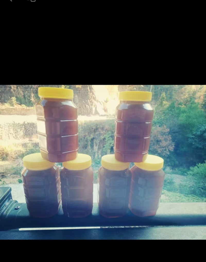 大山里正宗的土蜂蜜