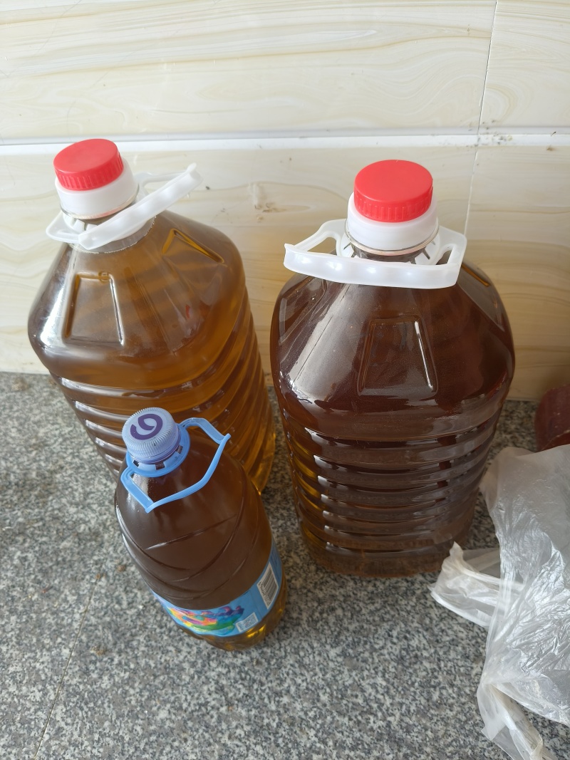 高山老树小籽茶油
