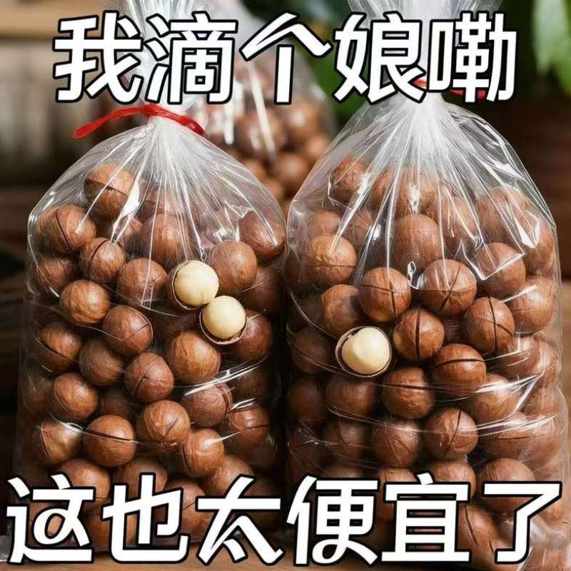 夏威夷果线上线下一件代发量大无忧源头工厂欢迎考察