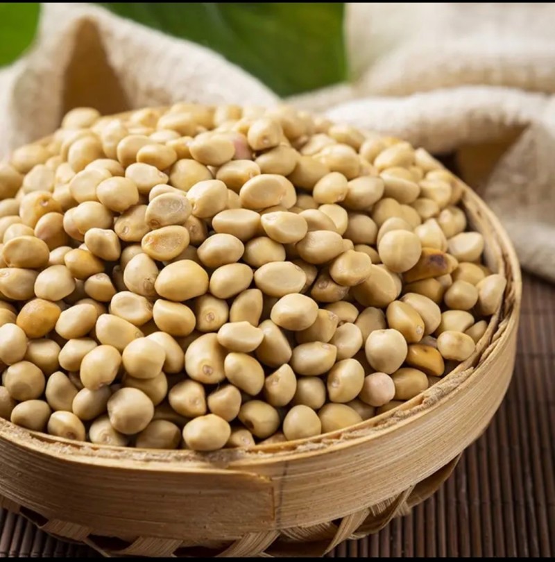 金丝指葫芦跌打豆贼老豆