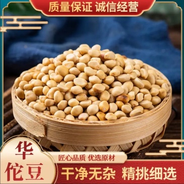 金丝指葫芦跌打豆贼老豆