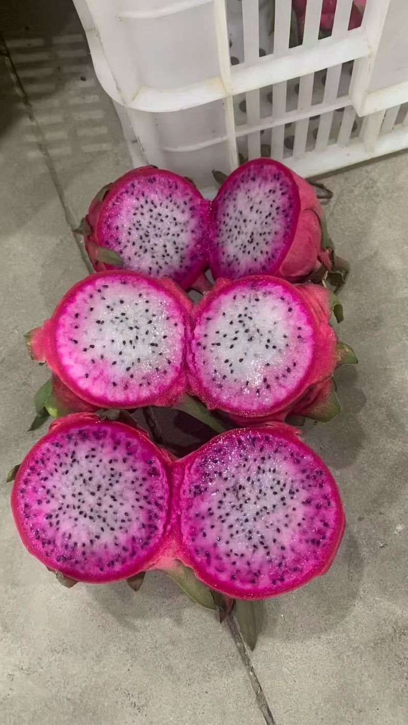 冰淇淋双色火龙果
