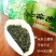 柏塘山茶