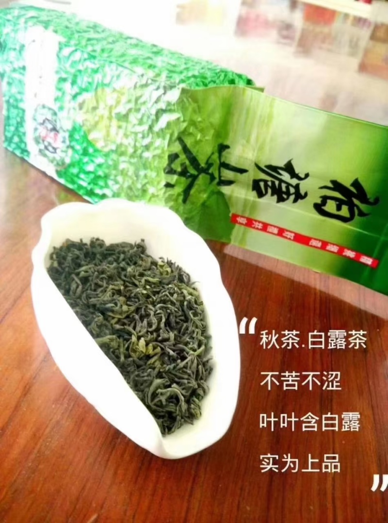 柏塘山茶