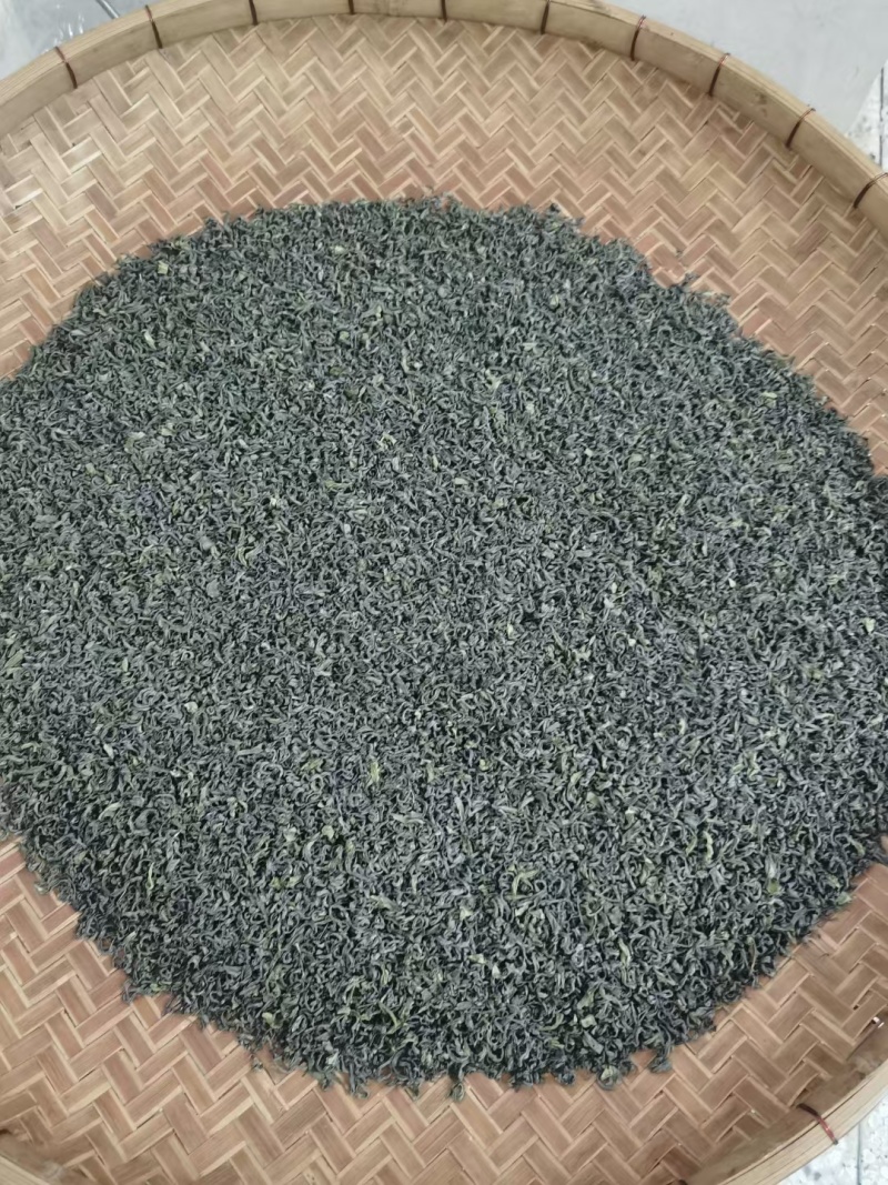 柏塘山茶