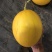 金镶玉