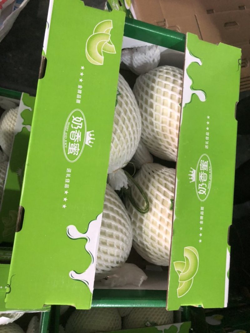 白玉菇奶香蜜糖17+