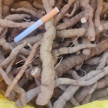 防已