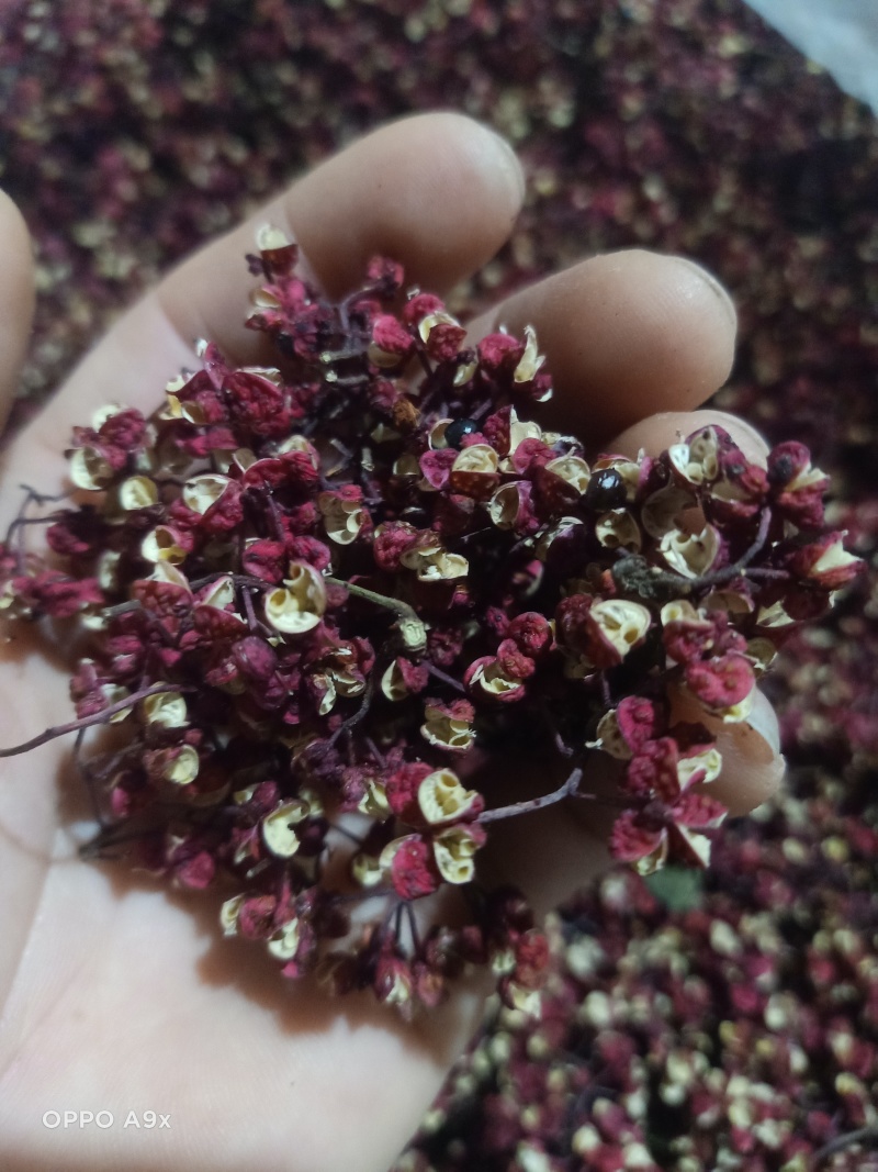 今年的新货，甘肃花椒