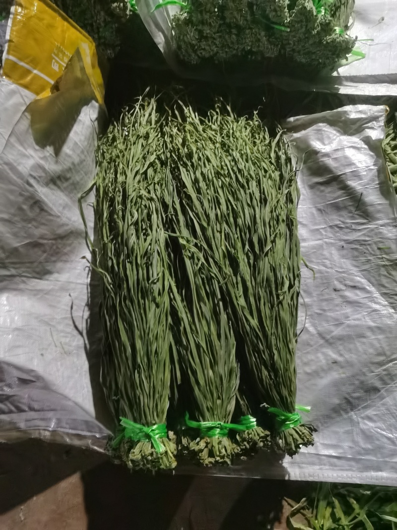 云南大理宾川高原贡菜精品货1级--3级