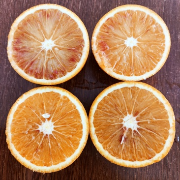 重庆血橙