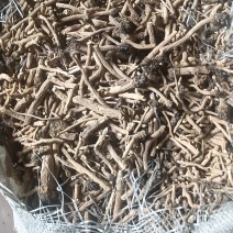 板蓝根药材