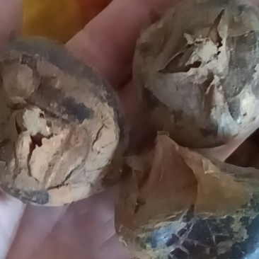 瑶族山水马蹄