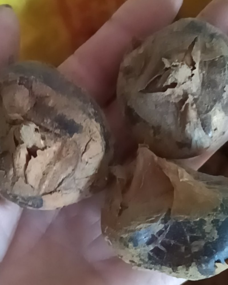 瑶族山水马蹄