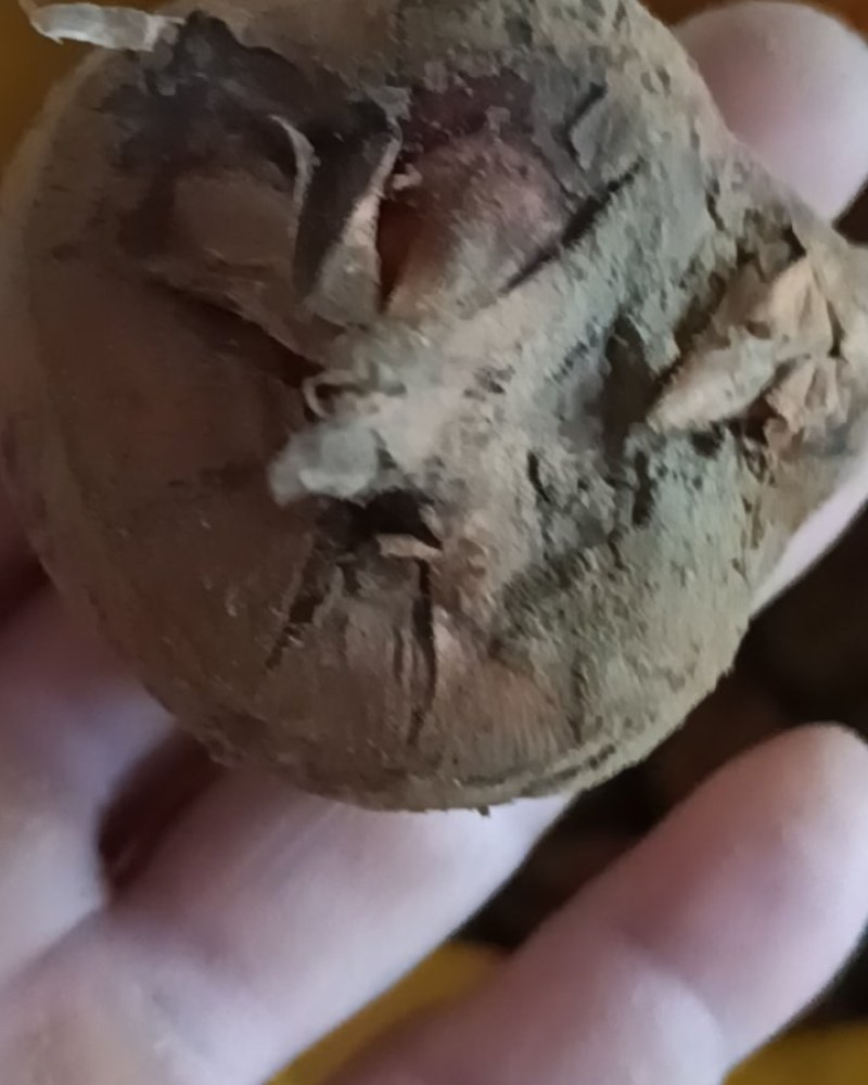 瑶族山水马蹄