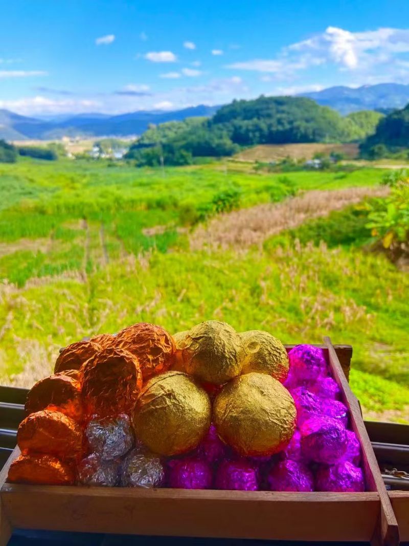 普洱茶