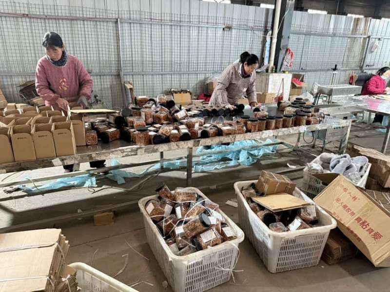 夏威夷果（全品类）支持一件代发，有量有价，欢迎咨询