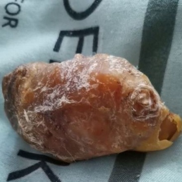 鸡宝