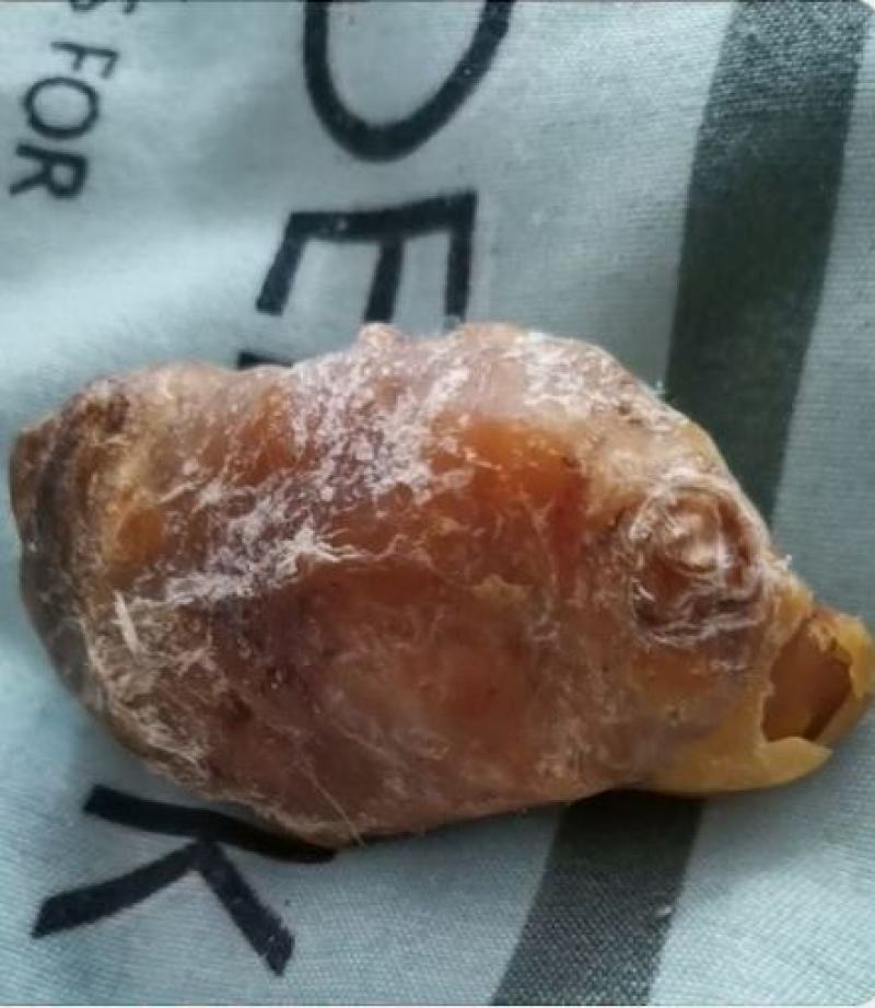 鸡宝