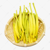 黄花菜