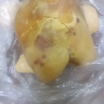 鸡黄