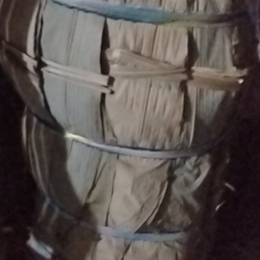 粽叶