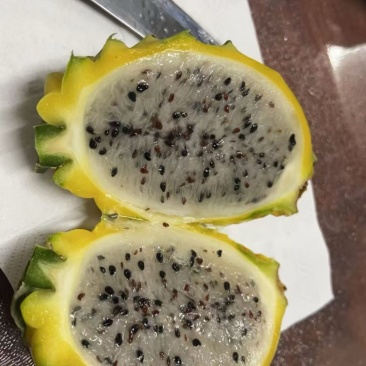 燕窝果