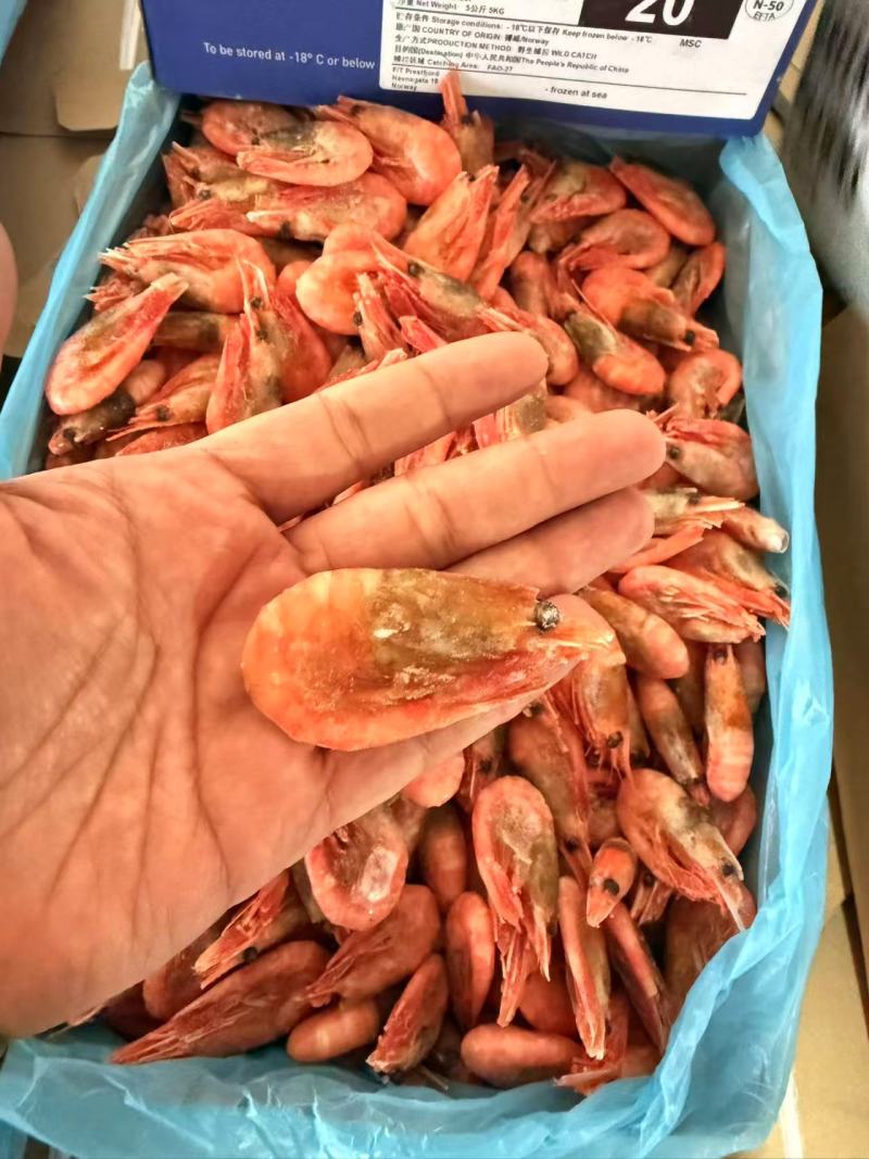 黑头大规格北极虾