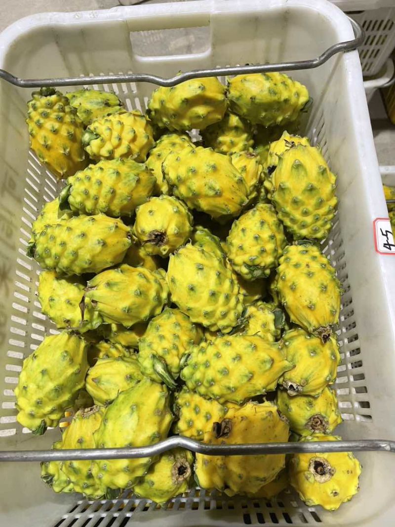 燕窝果