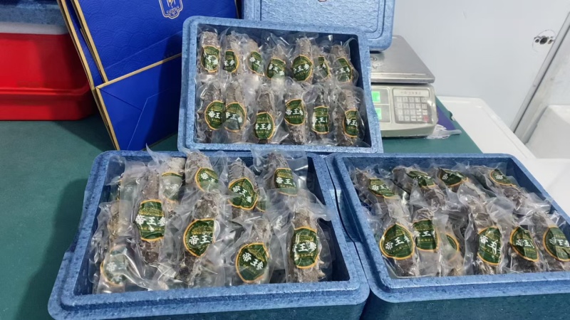 即食海参礼盒