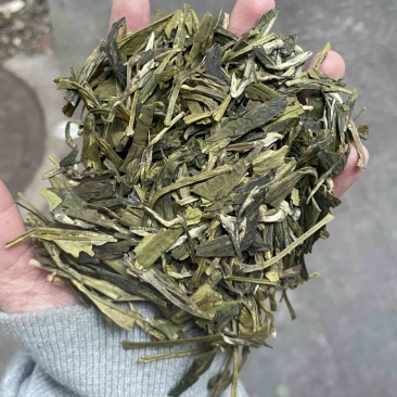 龙井