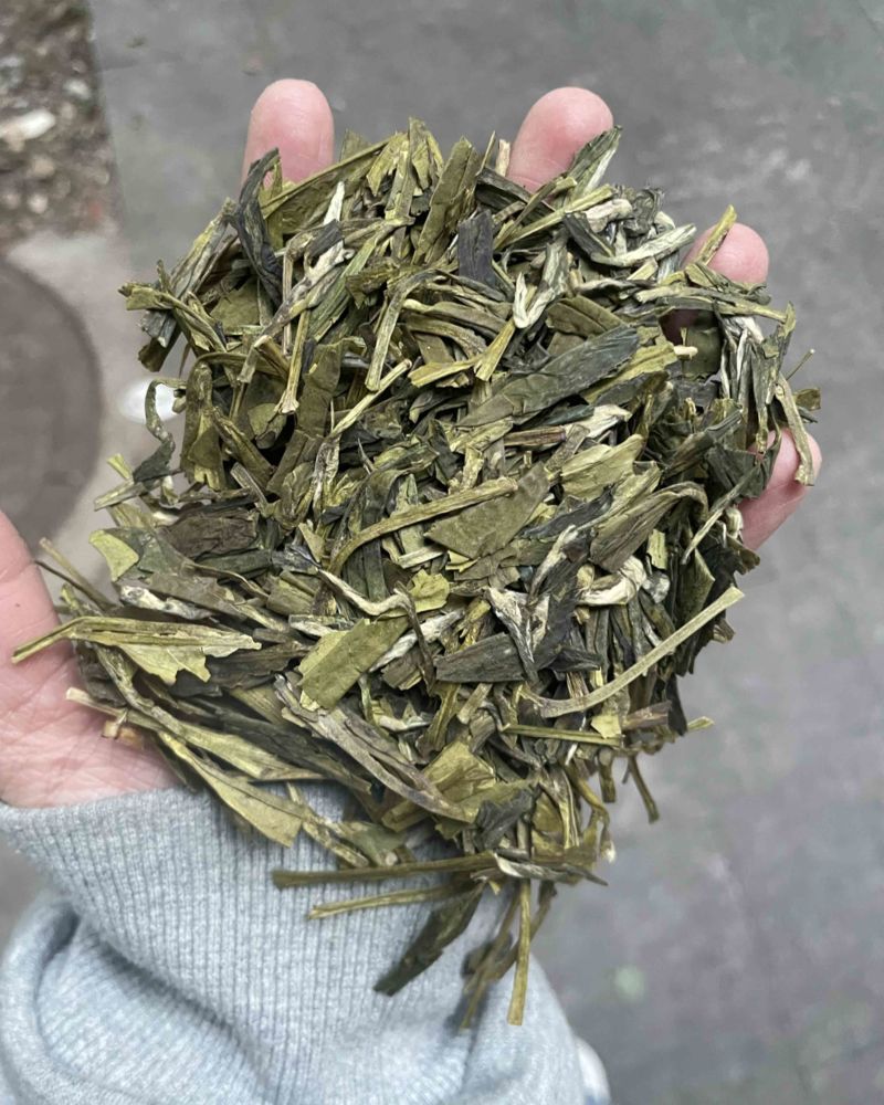 龙井