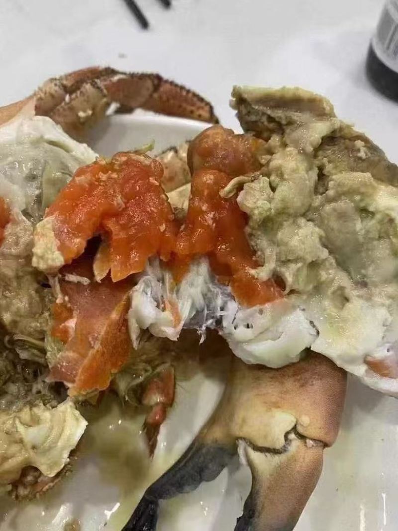 面包蟹生冻熟冻肉质饱满红膏蟹