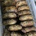 面包蟹生冻熟冻肉质饱满红膏蟹