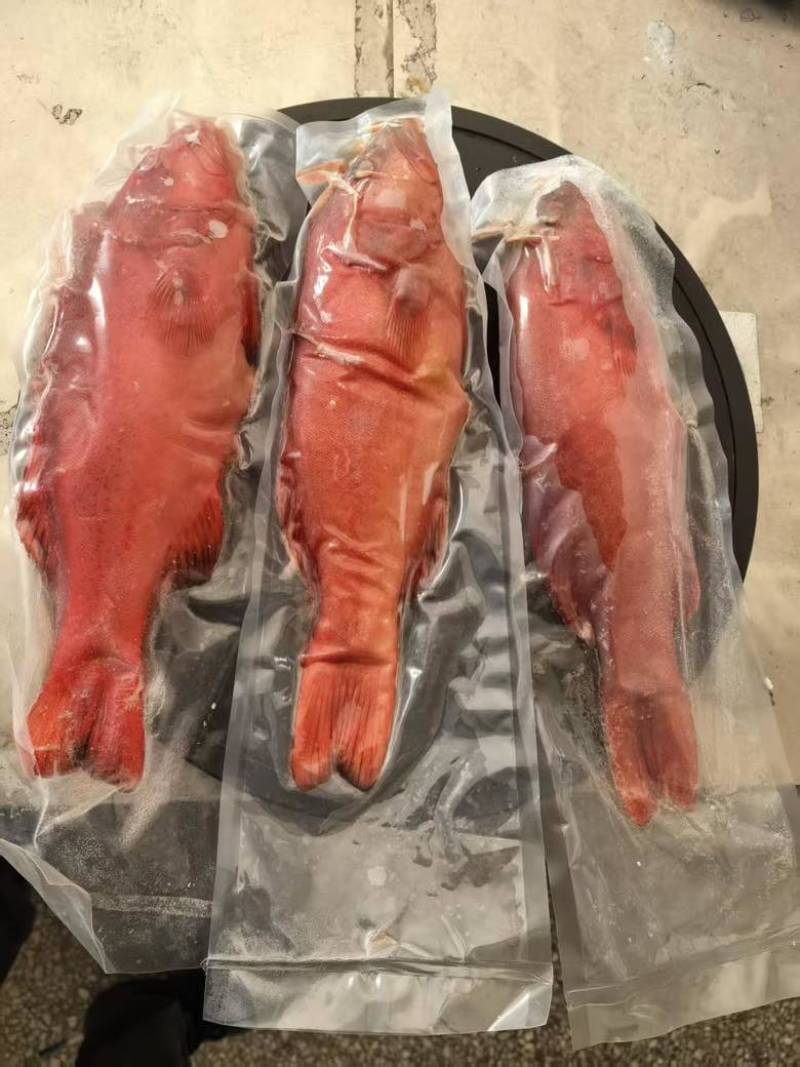 东星斑好品质，五星好评