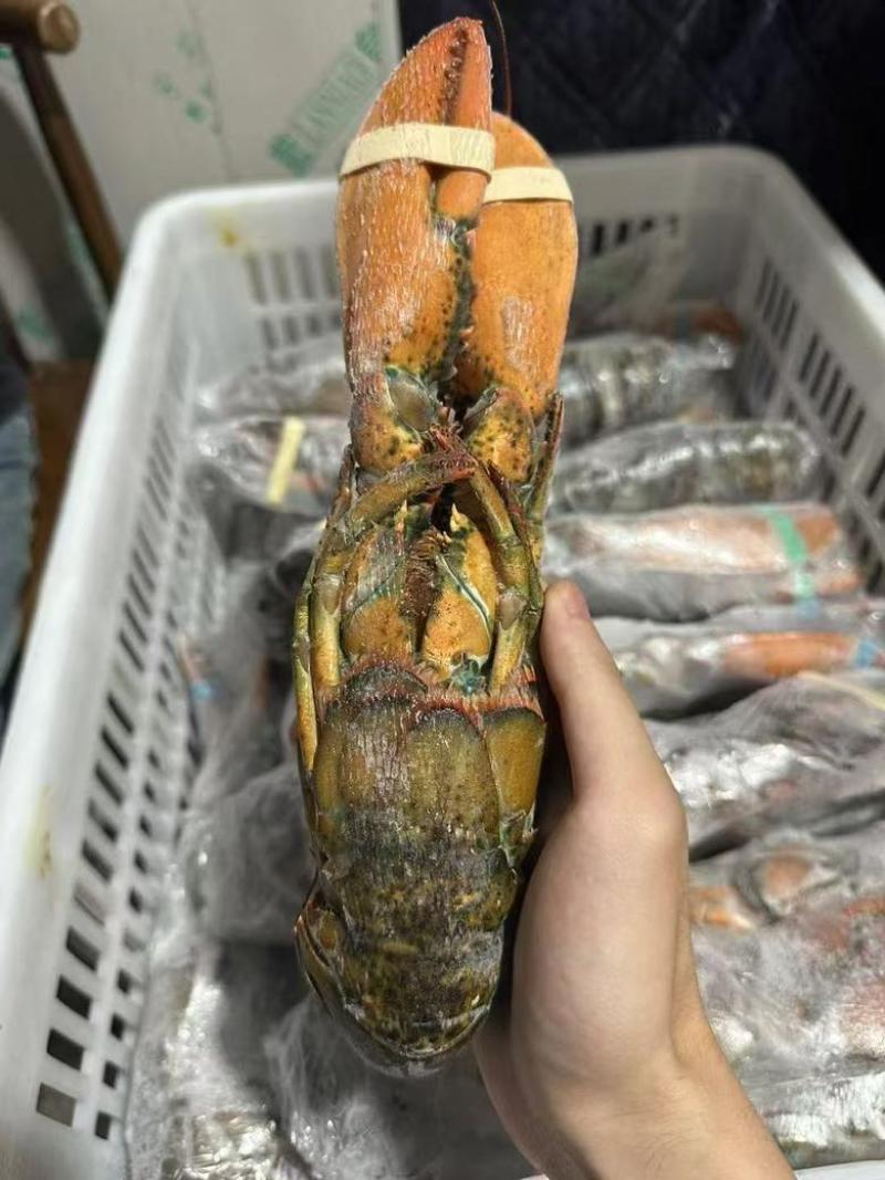 海鲜大礼包礼盒大礼盒，大宗商品批发价自由搭配