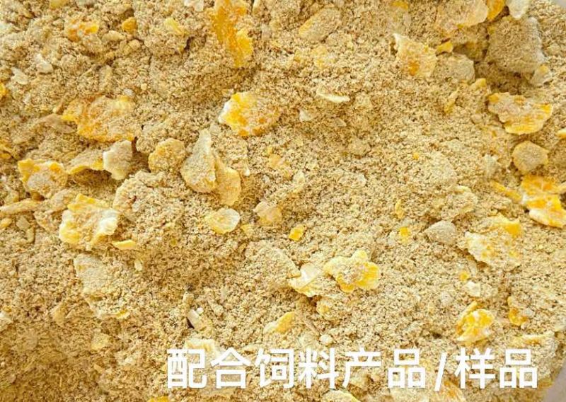 活菌类发酵饲料原料，只要供应西门塔尔肉牛养、肉羊蛋、鸡养养殖
