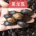 各种龙虱