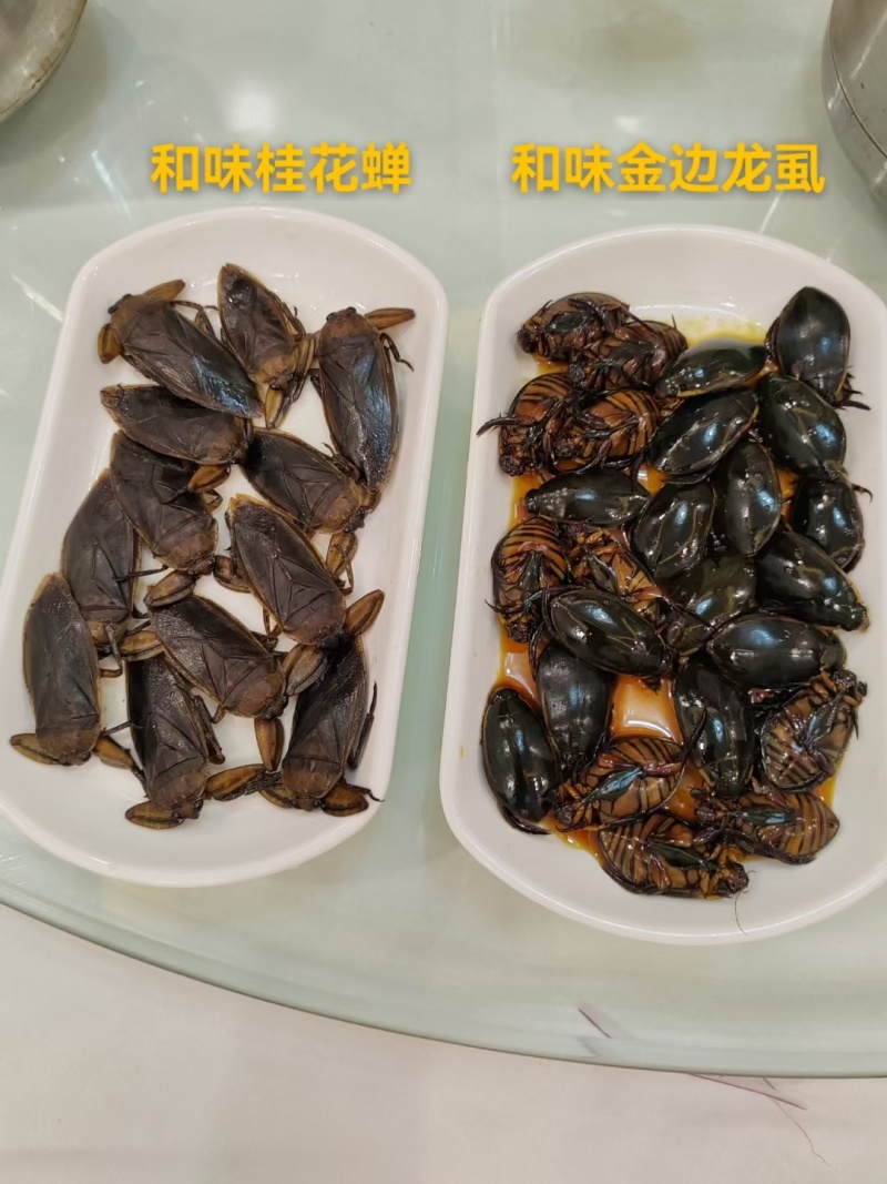 各种龙虱