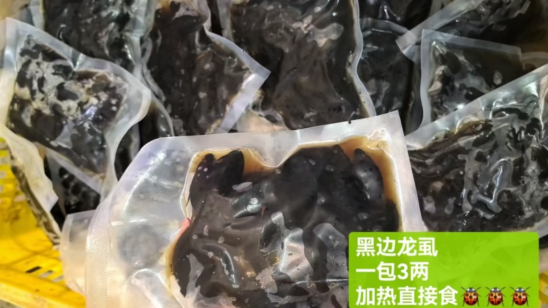 各种龙虱