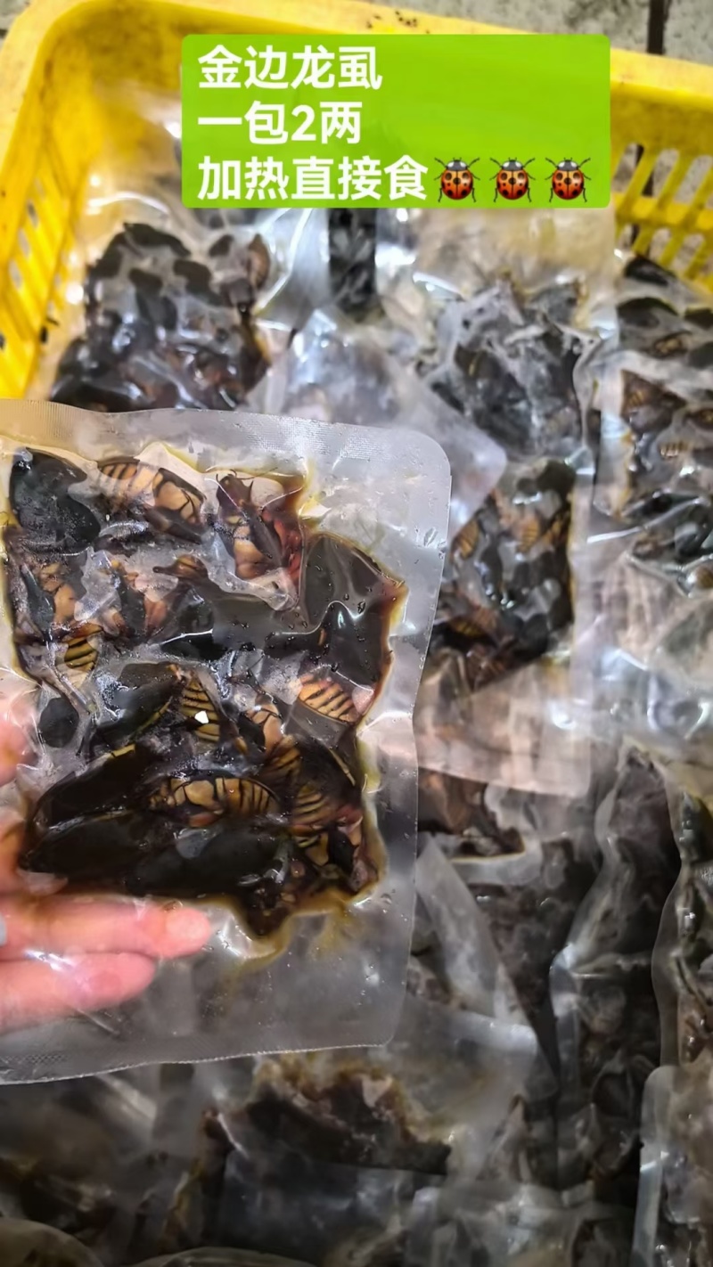 各种龙虱