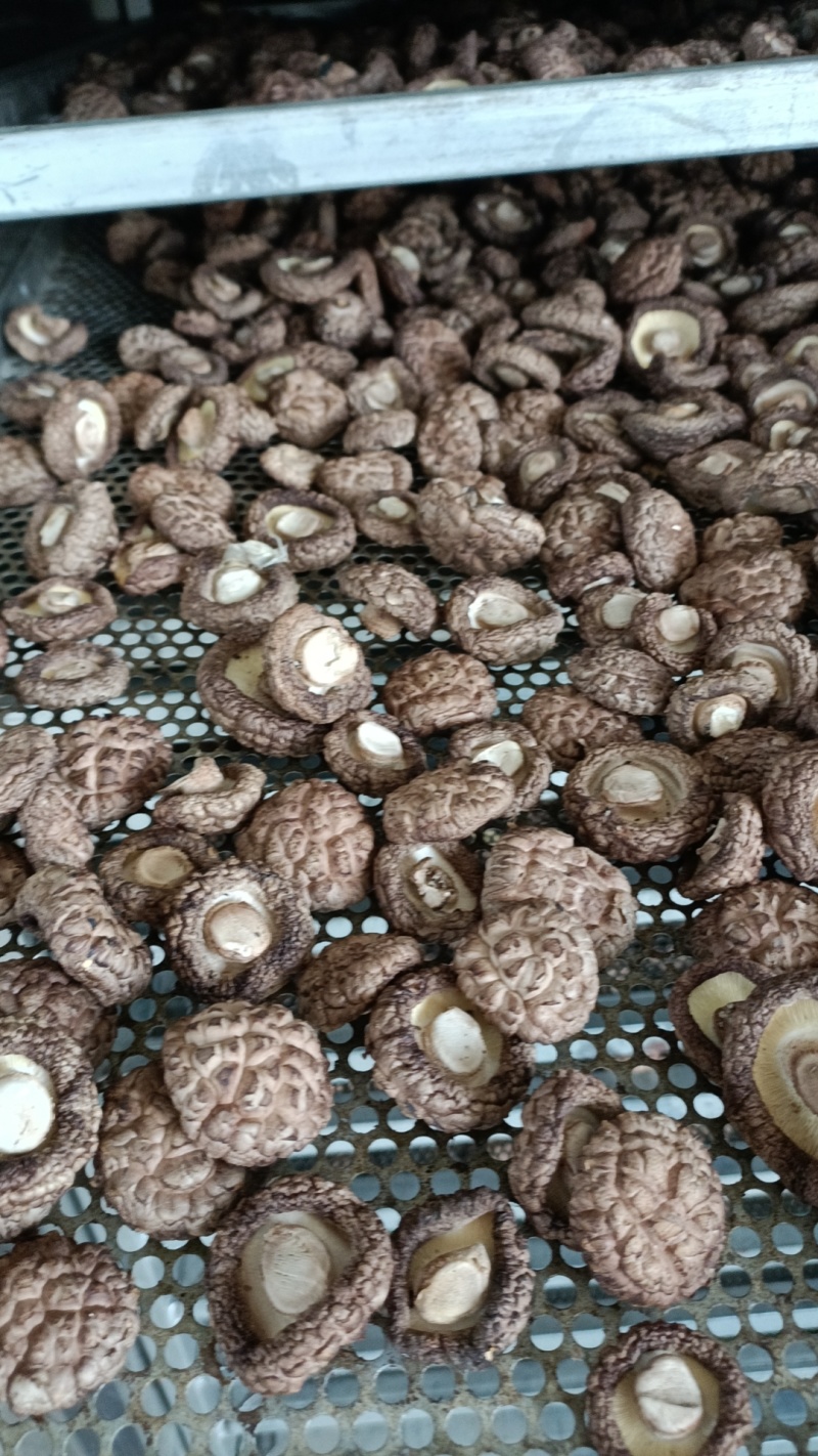 3~4cm干香菇