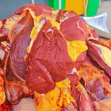 新疆巴音布鲁克牦牛肉