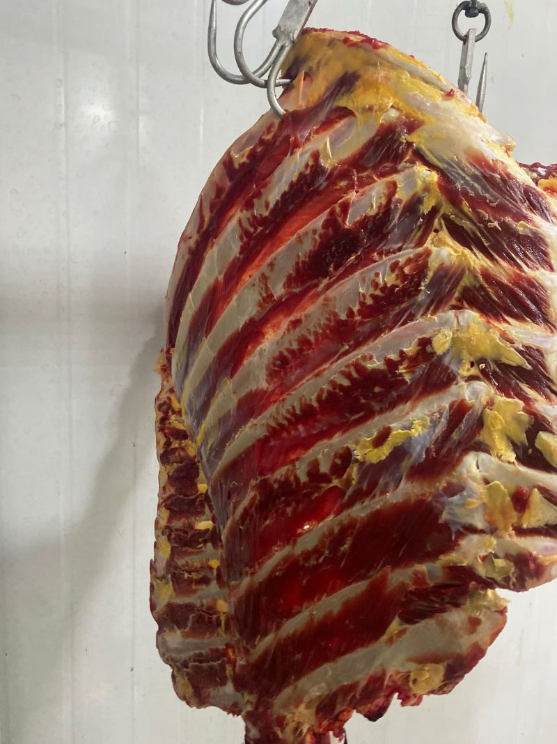 新疆巴音布鲁克牦牛肉