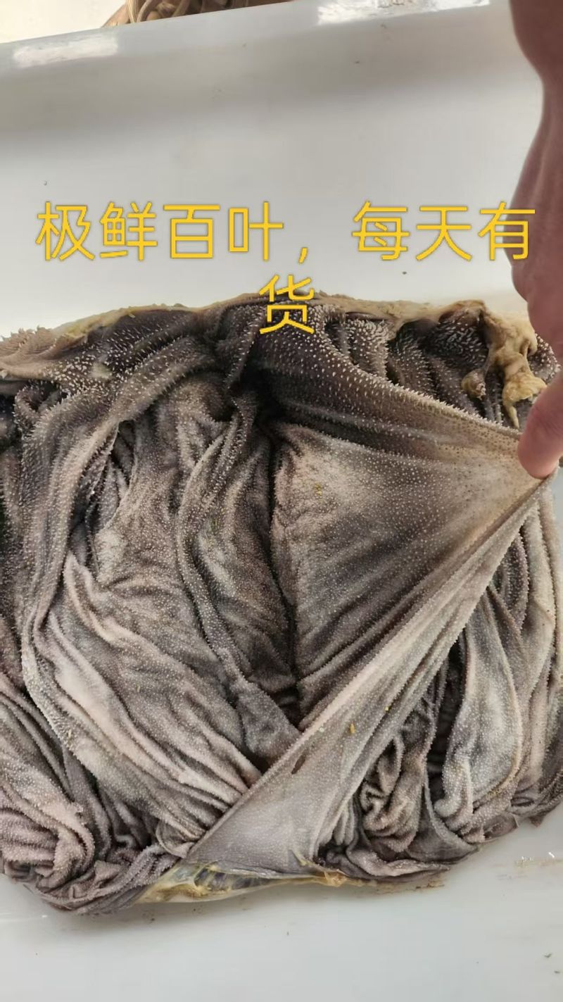 鲜百叶