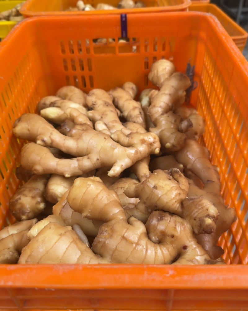 生姜，大黄姜***********