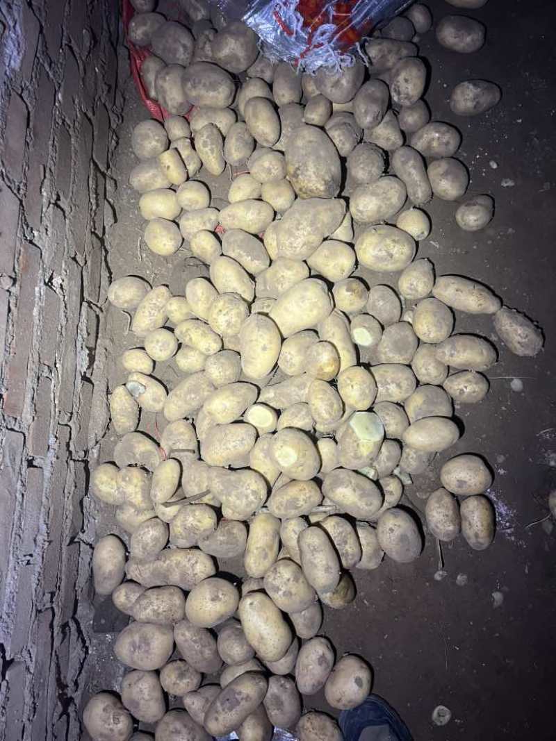 电商货，2-78两v7，颜色皮毛好。